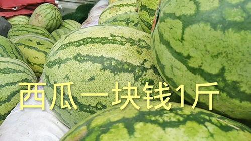吃瓜网多少钱一斤,一斤多少钱，让你轻松了解市场行情