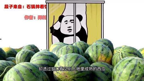 网红吃瓜糗事大全,笑料百出，揭秘娱乐圈幕后趣闻