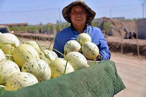 吃瓜群众瓜网,带你走进网络舆论的狂欢世界