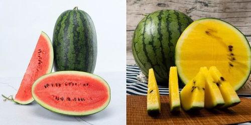 l吃瓜网cc,l吃瓜网cc独家爆料，带你走进明星幕后故事