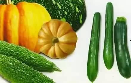 吃瓜网的用户名是什么,揭秘“吃瓜网”热门用户名背后的故事