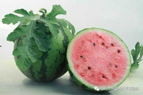 八卦吃瓜网红是谁啊图片