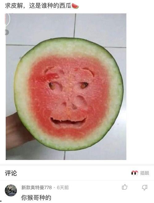 八卦吃瓜网红是谁啊图片