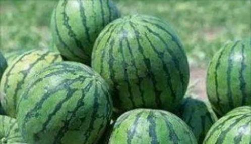 吃网红的瓜很烦,吃瓜群众的烦恼与反思