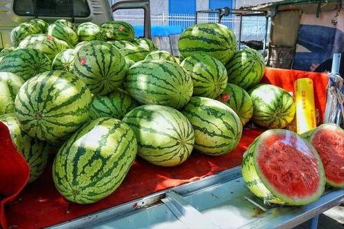 烟台吃瓜网红事件真相,揭秘背后真相与网络舆论的漩涡