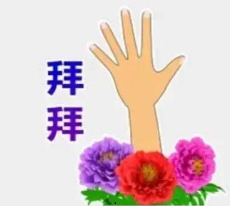 女生网红吃瓜表情包动态,演绎现代女性趣味生活