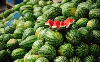 吃瓜变网暴,网络舆论的极端演变