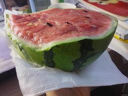 吃瓜网应用,揭秘娱乐圈幕后故事，带你畅游八卦海洋