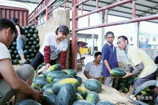 源头吃瓜网,揭秘娱乐圈幕后真相，带你走进明星生活