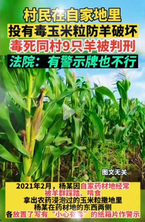 51吃瓜网最近地址,揭秘幕后真相，带你走进吃瓜界的风云变幻！”