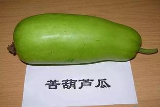 网红吃蒸葫芦瓜视频,美味与创意并存！