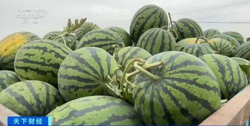 吃瓜网热点吃瓜 在线观看,实时在线观看，揭秘娱乐圈最新动态