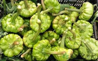 姜姜吃瓜网,揭秘娱乐圈幕后故事，带你领略明星真实生活