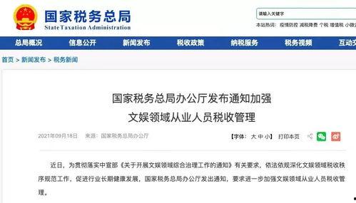 吃网红瓜站长工具,站长工具深度解析