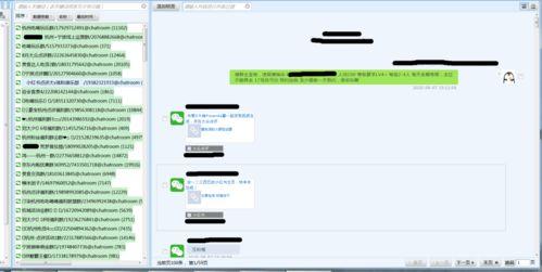 吃网红瓜站长工具,站长工具深度解析