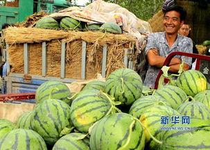 襄城县吃瓜网,揭秘当地美食文化，畅享舌尖上的盛宴
