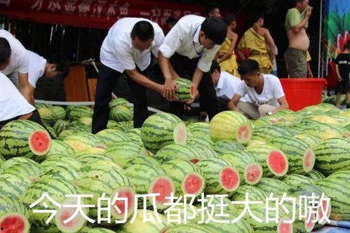 大巴吃瓜网,揭秘娱乐圈幕后故事，带你领略明星真实生活