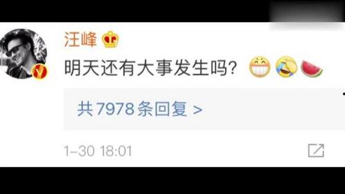 一只快乐吃瓜喵百度云网盘,揭秘网络红猫的云端生活