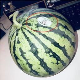 网红爆料吃瓜头像图片,揭秘吃瓜头像背后的秘密