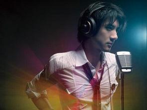 吃瓜网红王力宏简介,从音乐才子到吃瓜网红的华丽转身