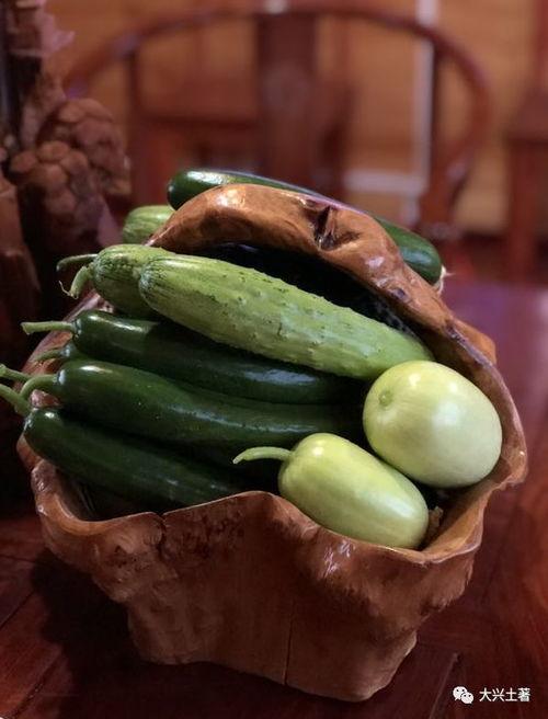 网红吃的紫色瓜,揭秘紫色瓜的独特魅力与食用体验