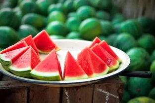 安徽网红吃瓜事件,一场网络舆论的风暴与反思