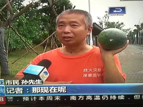 吃瓜网暴热门事件,揭秘热门事件背后的真相与争议