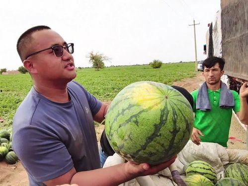 乌鲁木齐吃瓜网爆,揭秘当地热门美食背后的故事