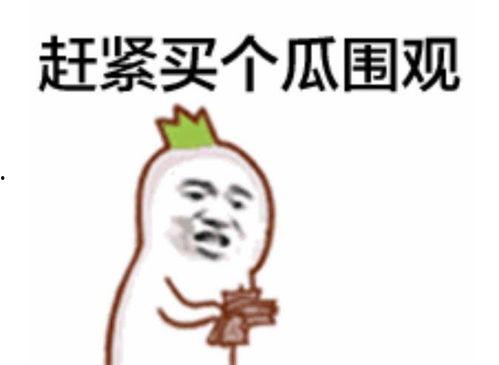 网语吃瓜群众啥意思,网络流行语的内涵与影响