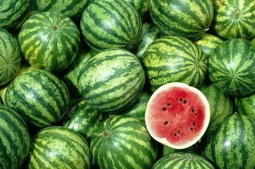 2020年网红吃瓜网站,热点事件回顾与网络舆论风向标