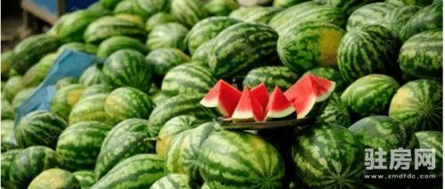新郑市龙湖镇网红吃瓜,网红吃瓜盛地，探寻夏日消暑新风尚