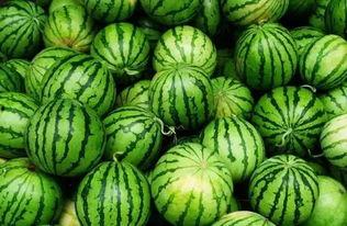 高州网红吃瓜群微信号,揭秘网红圈幕后故事”