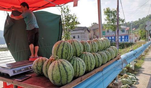 安溪网红吃瓜事件视频最新