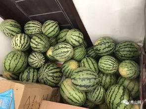 莆田网红吃瓜视频,揭秘幕后真相，带你领略网络红人魅力