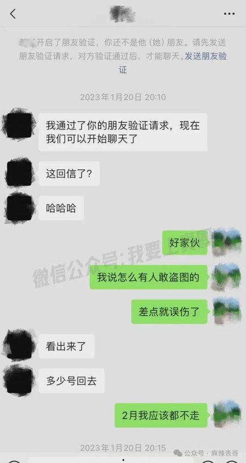 吃瓜微信网红聊天记录,一场娱乐圈幕后风波的幕后真相
