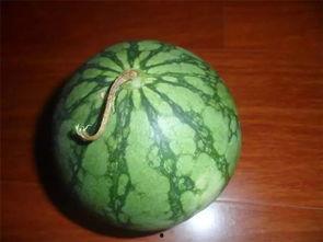 吃瓜网必看大瓜,吃瓜网必看大瓜盘点