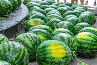 莲雾网吃瓜,揭秘网络热点背后的真相与笑料