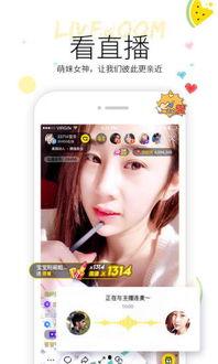 网红吃瓜软件视频大全,揭秘娱乐圈幕后故事