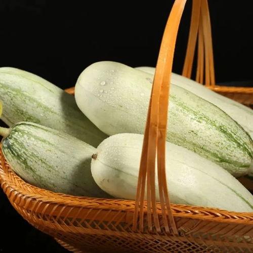 吃瓜网红头像照片大全,趣味横生的表情包盛宴