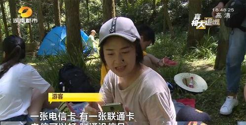 网红李丽欣吃瓜视频,揭秘娱乐圈幕后真相