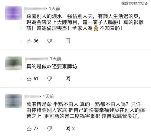 豪门吃瓜日记百度云网盘,揭秘百度云网盘中的豪门吃瓜日记