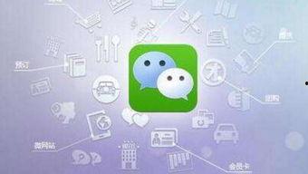 小程序八卦网红吃瓜视频,揭秘娱乐圈幕后故事