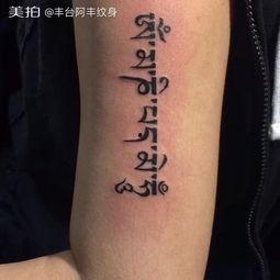 刺青阿诗吃瓜网,揭秘吃瓜网背后的故事与魅力