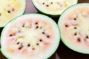 青岛吃瓜网红事件真相揭秘,揭秘背后真相与争议