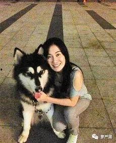 网红狗子张悦吃瓜视频在线观看,带你领略萌宠界的欢乐时光